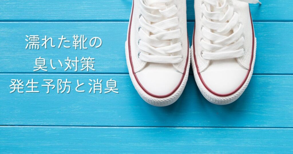 濡れた靴の臭い対策発生予防と消臭